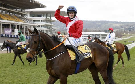 bet on cheltenham|How to bet on the 2024 Cheltenham Festival online: a step.